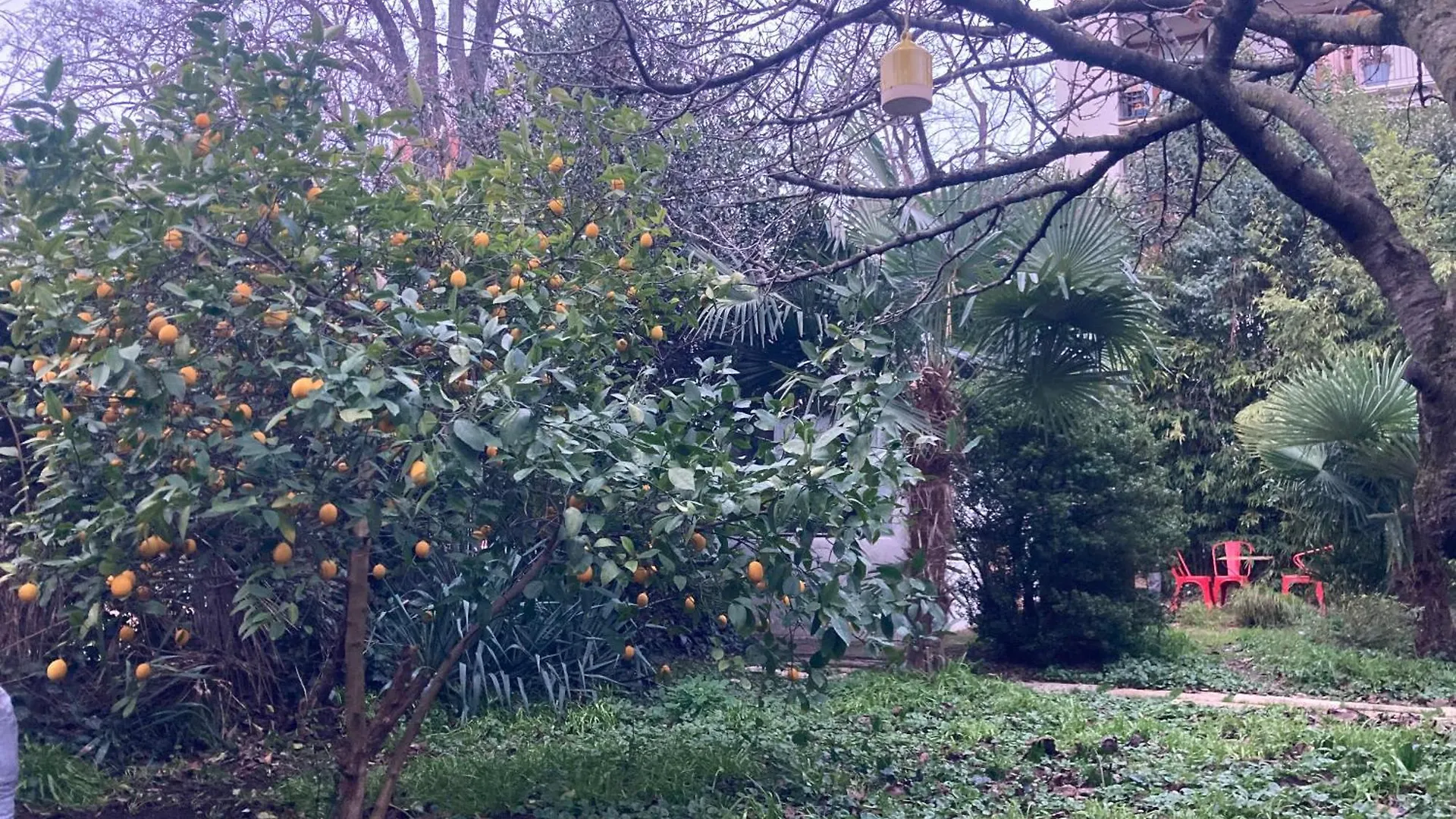 Apartment Un Jardin En Ville Toulouse
